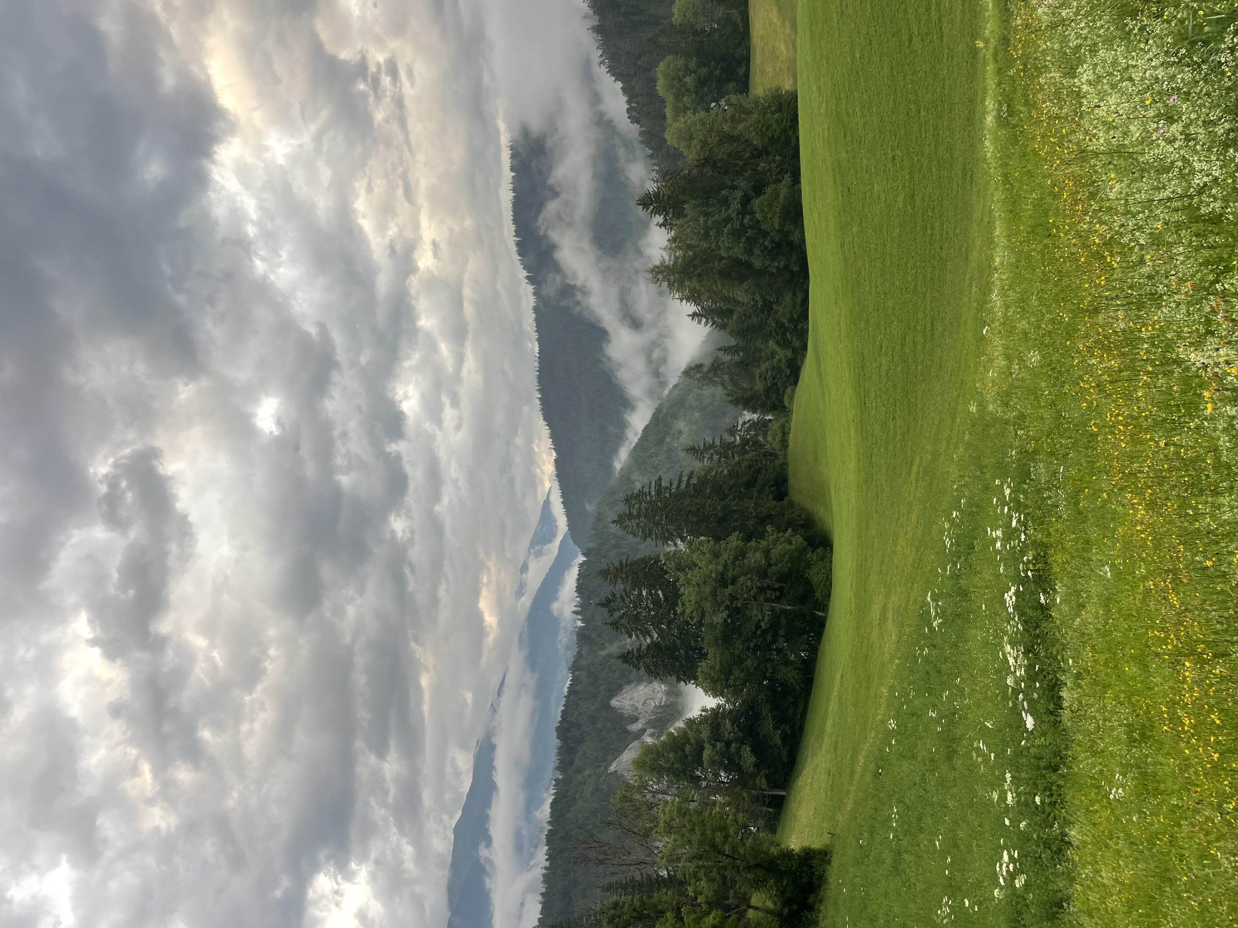 Mountain meadow with trees and low clouds.
